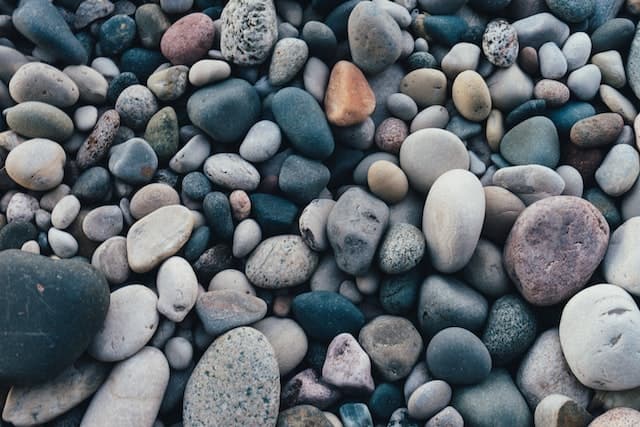 does-river-rock-attract-bugs